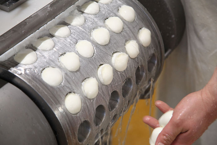 Bocconcini di latte di Bufala